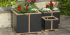 AURA OCCASIONAL PLANTER 38