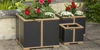 AURA OCCASIONAL PLANTER 50