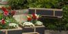 AURA OCCASIONAL PLANTER 28 X 100