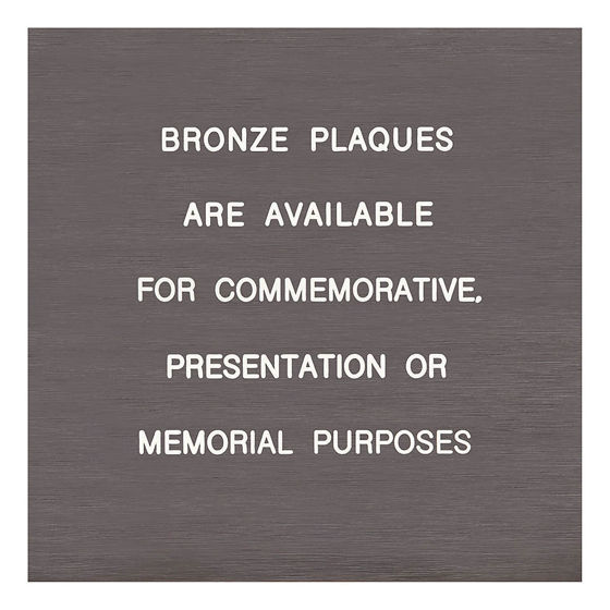 BRONZE PLAQUE