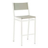 EQUINOX PAINTED HD CHAIR STEEL