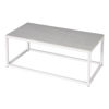 EQUINOX PAINTED LOW TABLE 100 CERAMIC TOP